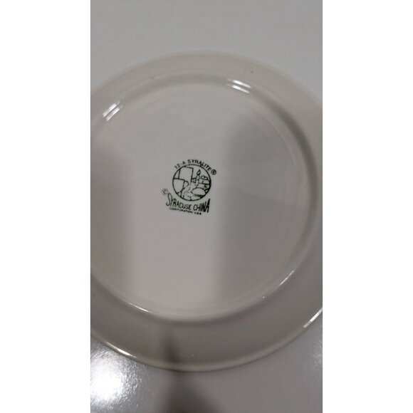 Syracuse China Syralite Spectrum Rainbow Stripe Salad Plate Vintage Dinnerware - Picture 3 of 6